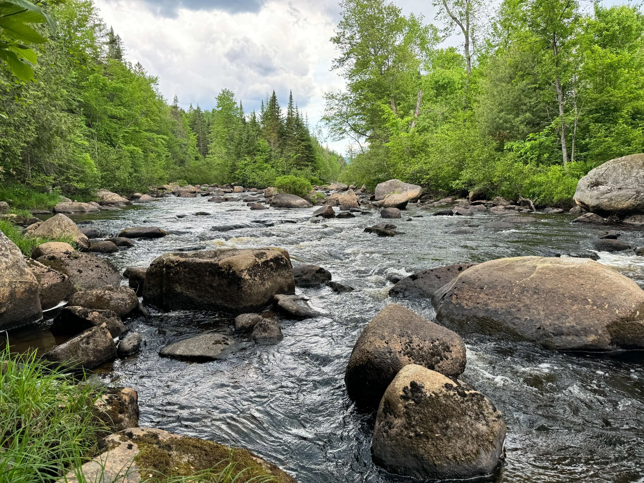 Nulhegan River by Diana Chaplin.JPG