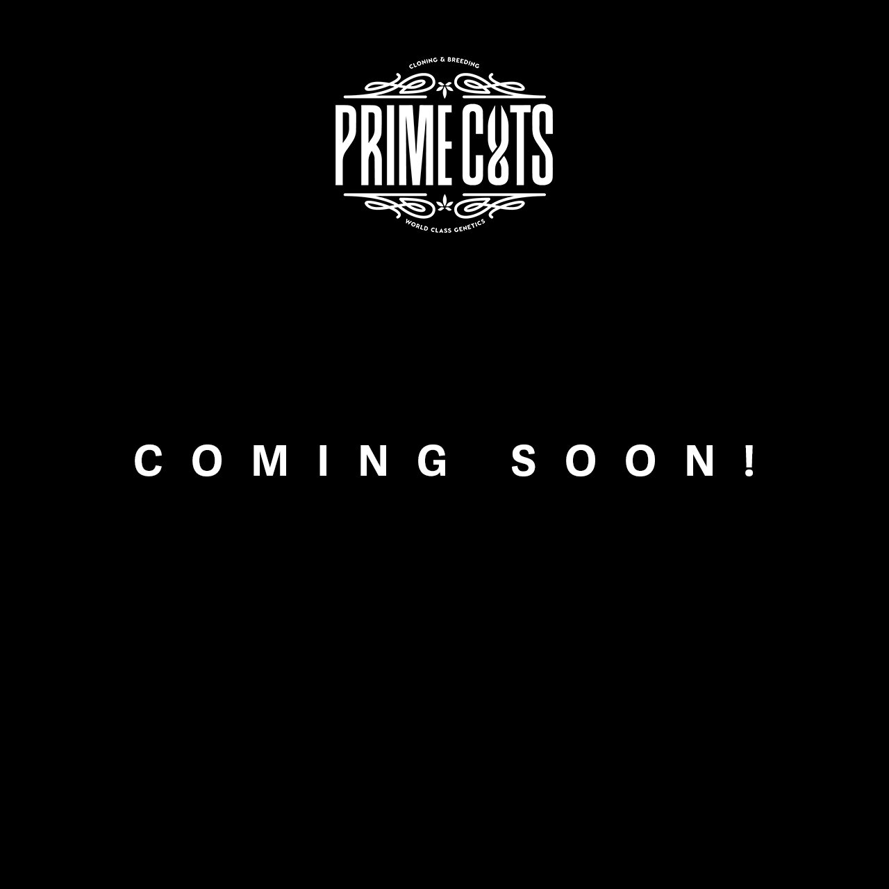 Prime-Cuts-Coming-Soon!.png