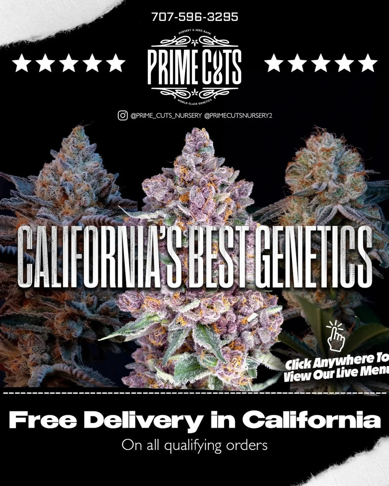 Start out this season right with the best genetics in California!!