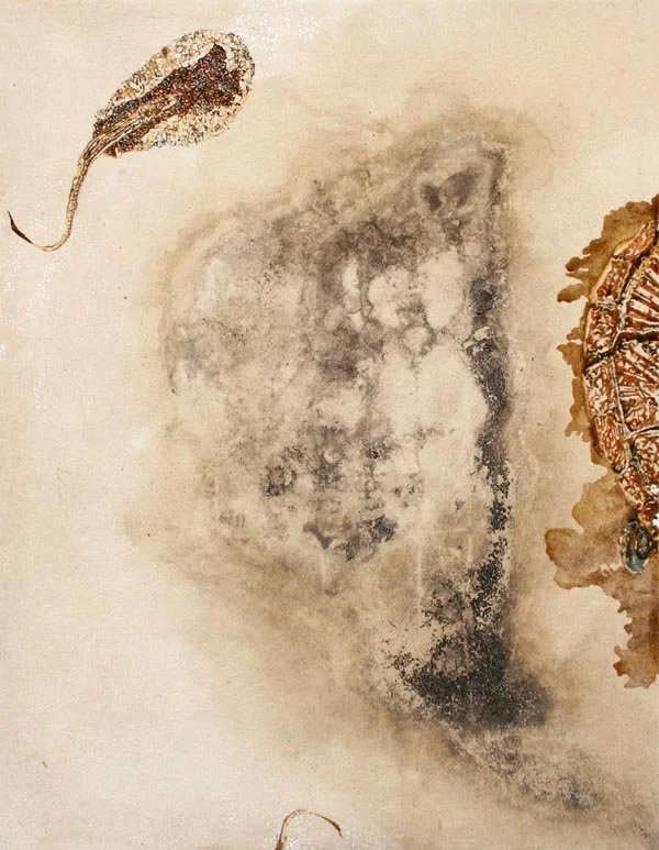 VanessaBarbay_Inside(SpringTurtle2017)2025_resized (1).jpg