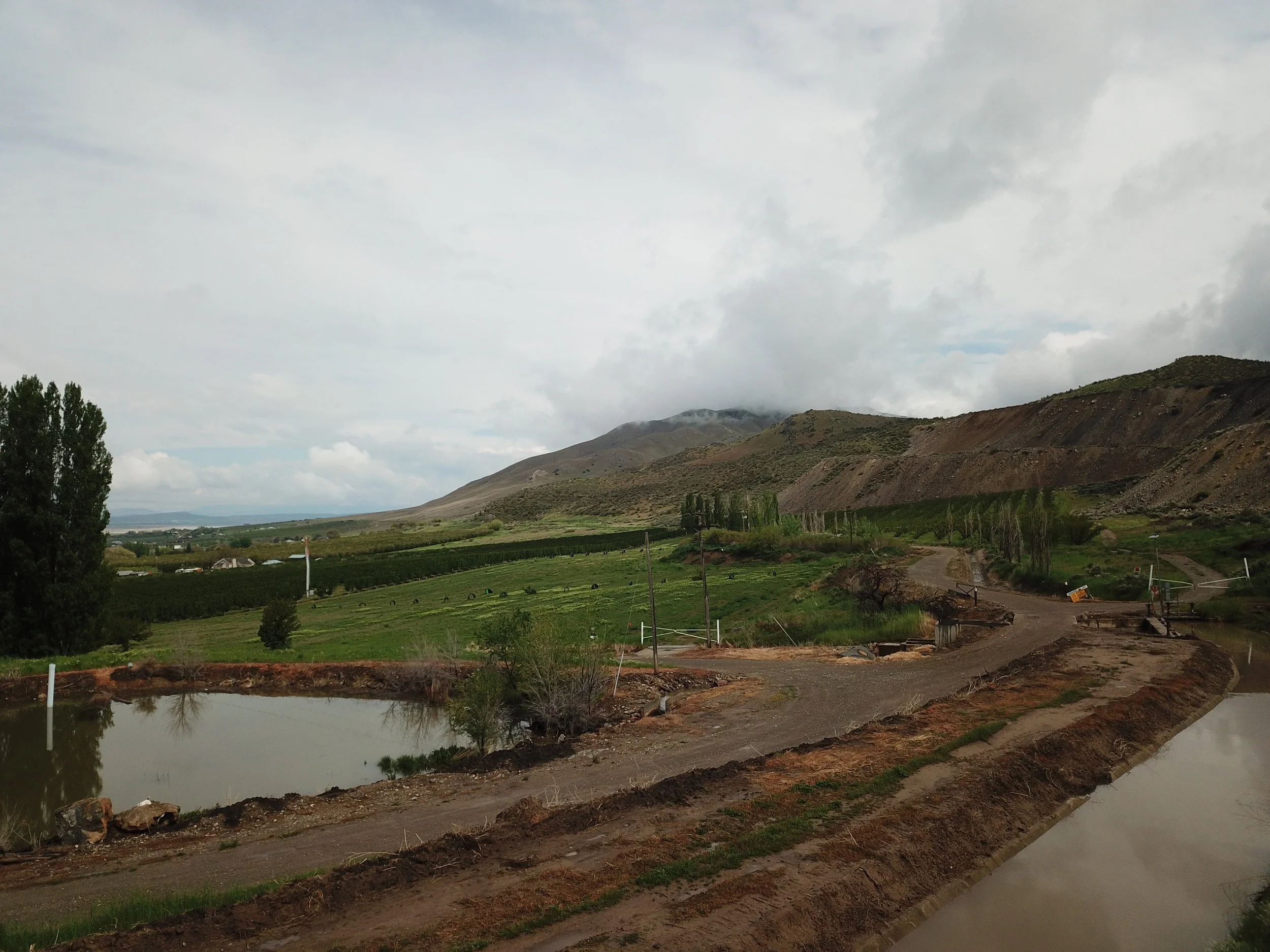 DJI_0230.jpg