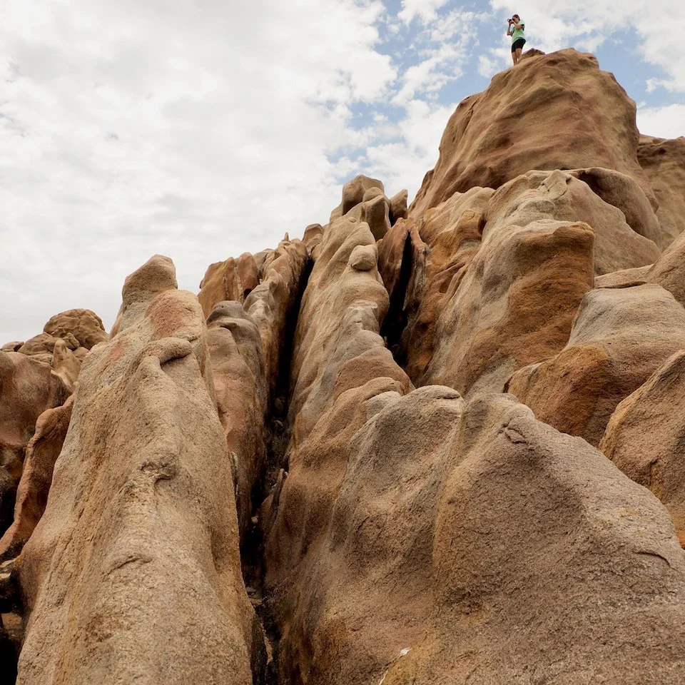 A WA breather (another holiday digression)