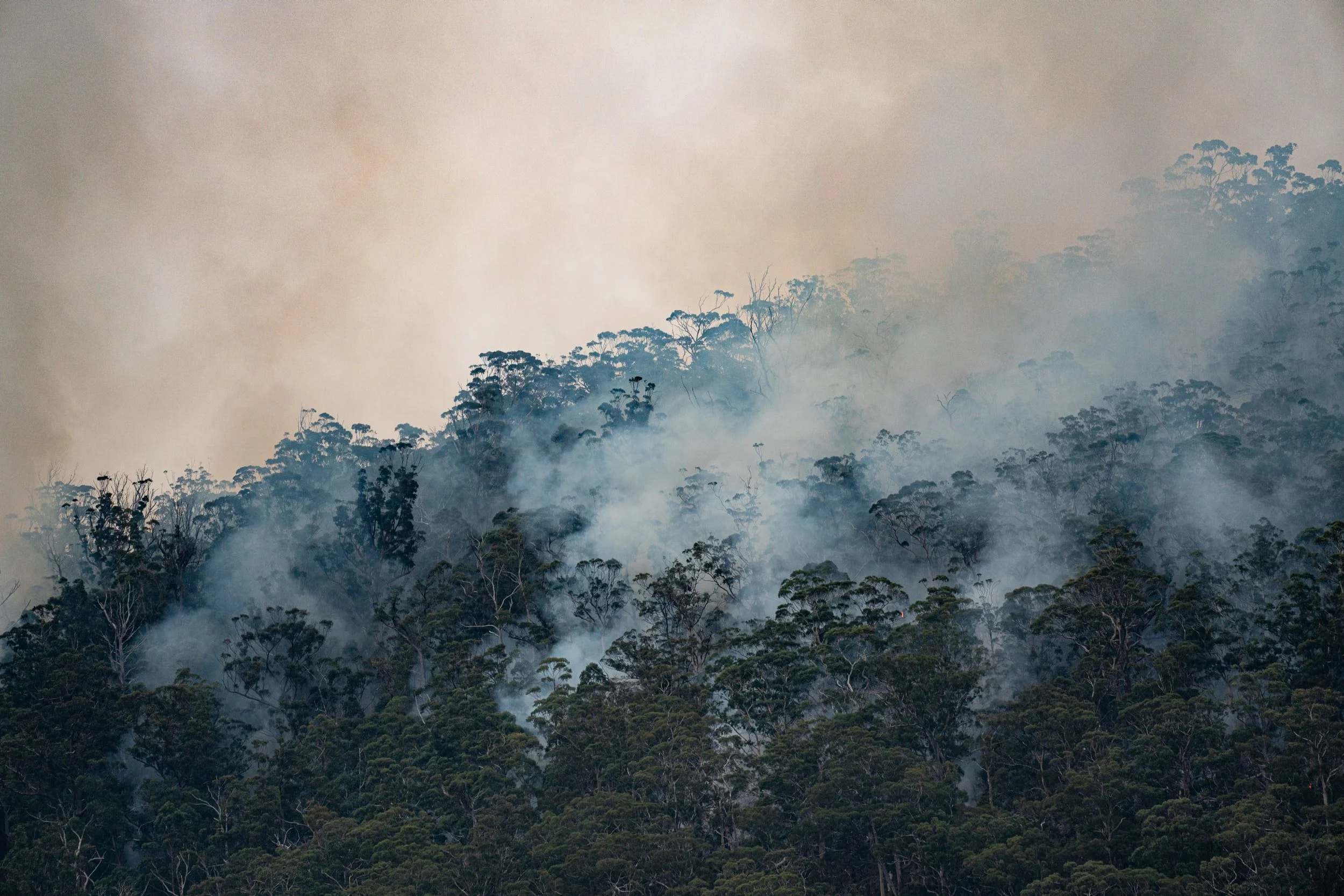Latino Conservation Week highlights the current climate crisis