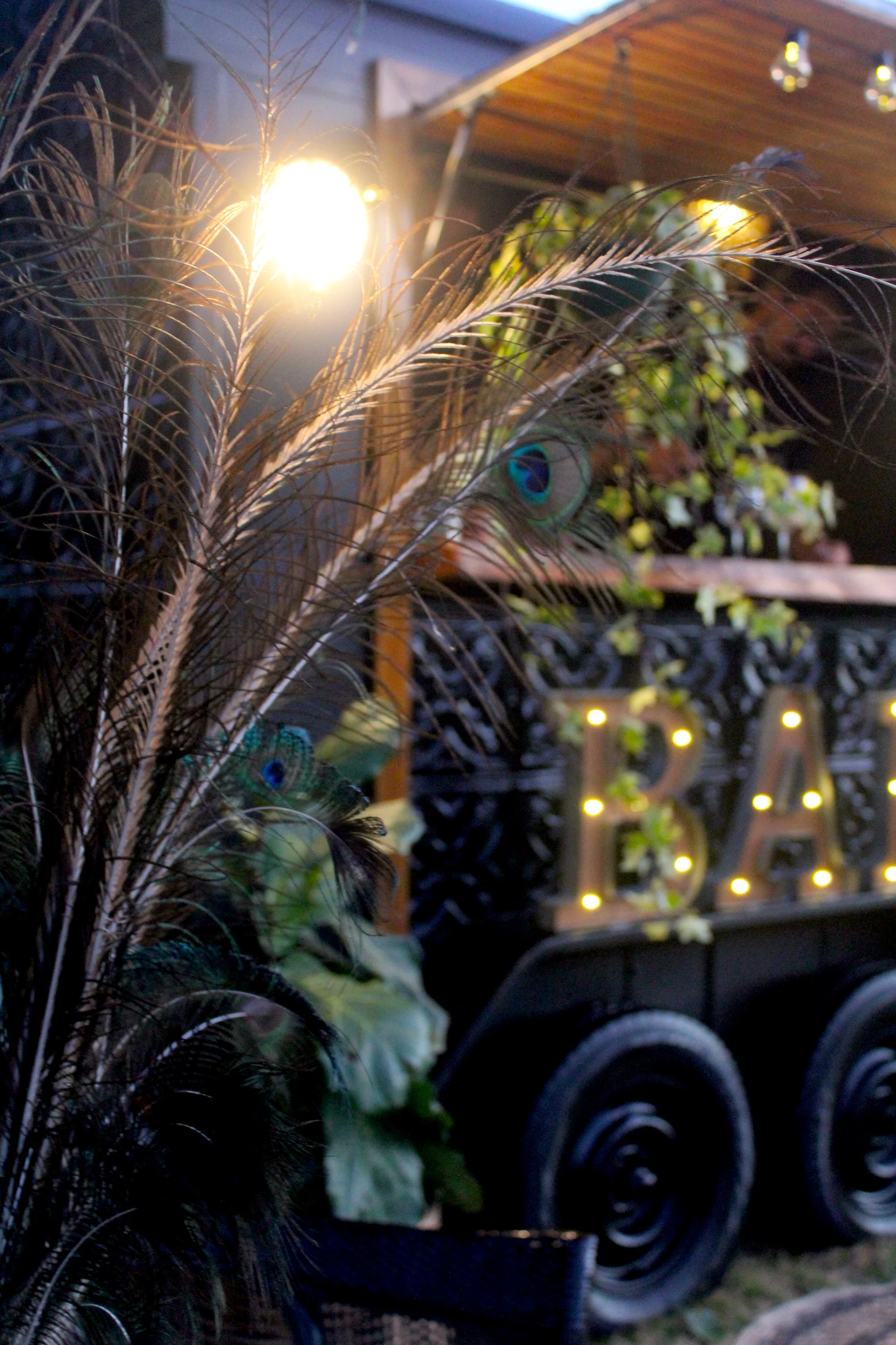 The Pickled Filly peacock feather.JPG