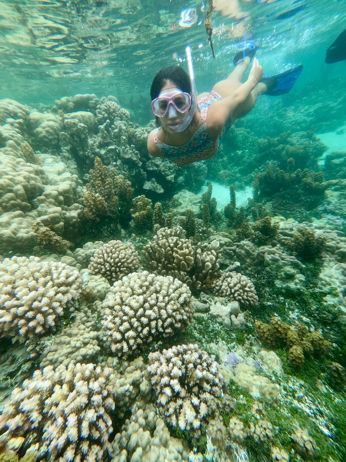 Snorkeling no Coral Garden em Raiatea