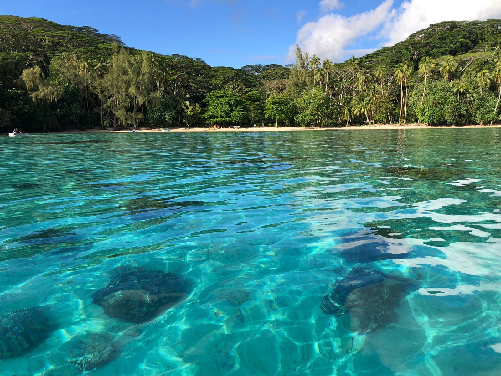 Águas cristalinas da Polinésia Francesa
