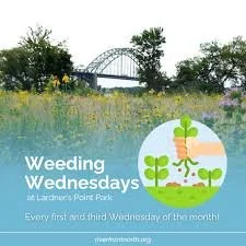 Weeding Wednesdays