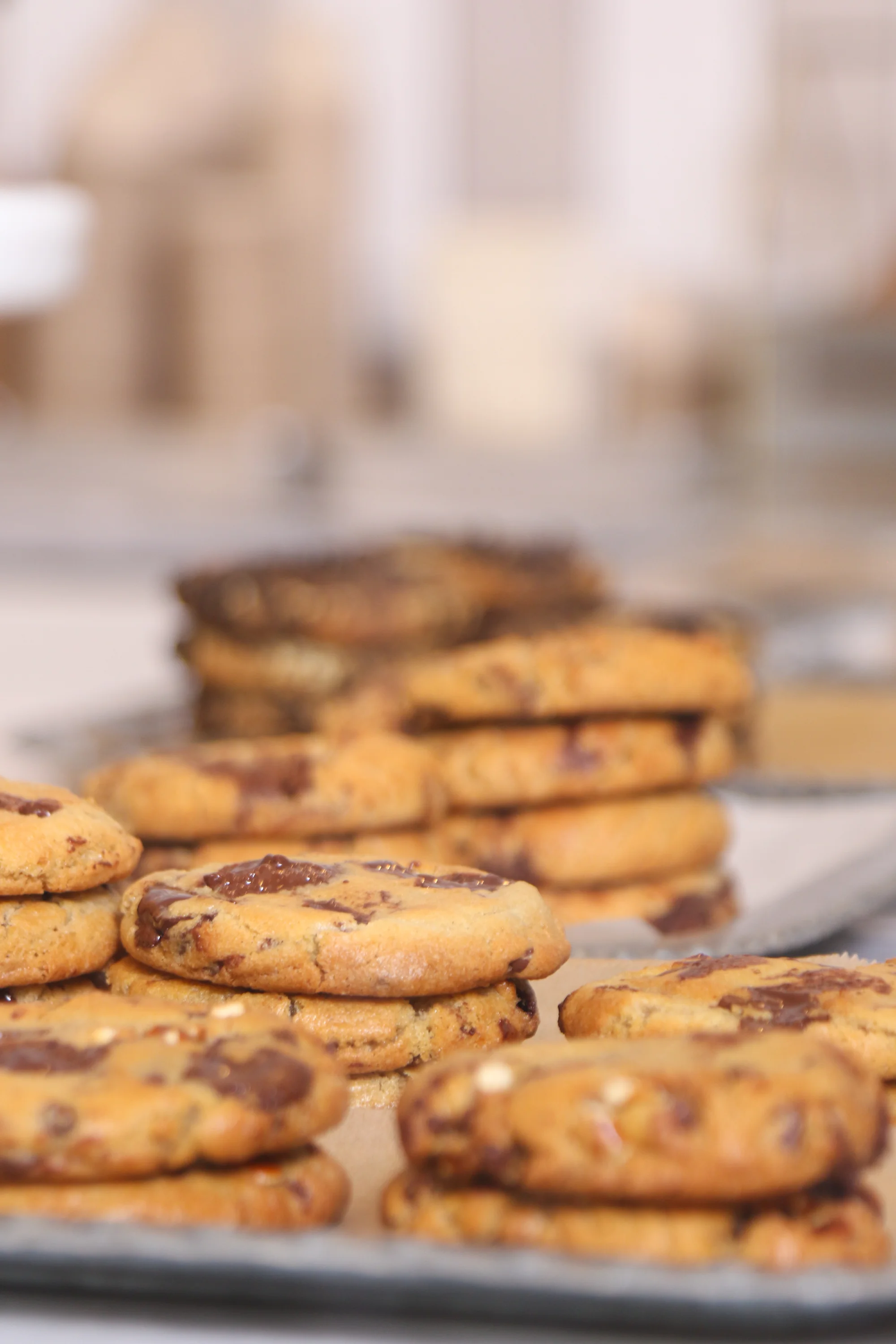 Haute-Cookie-124.jpg