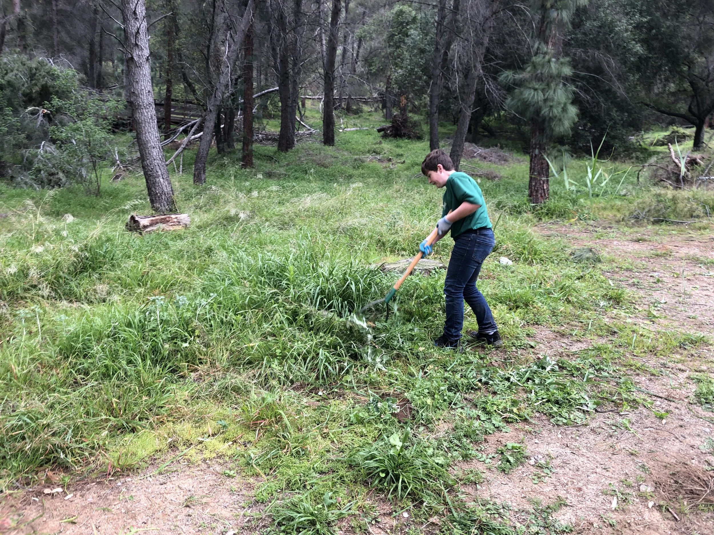 Heavy grass was trimmed with a yo-yo cutter.