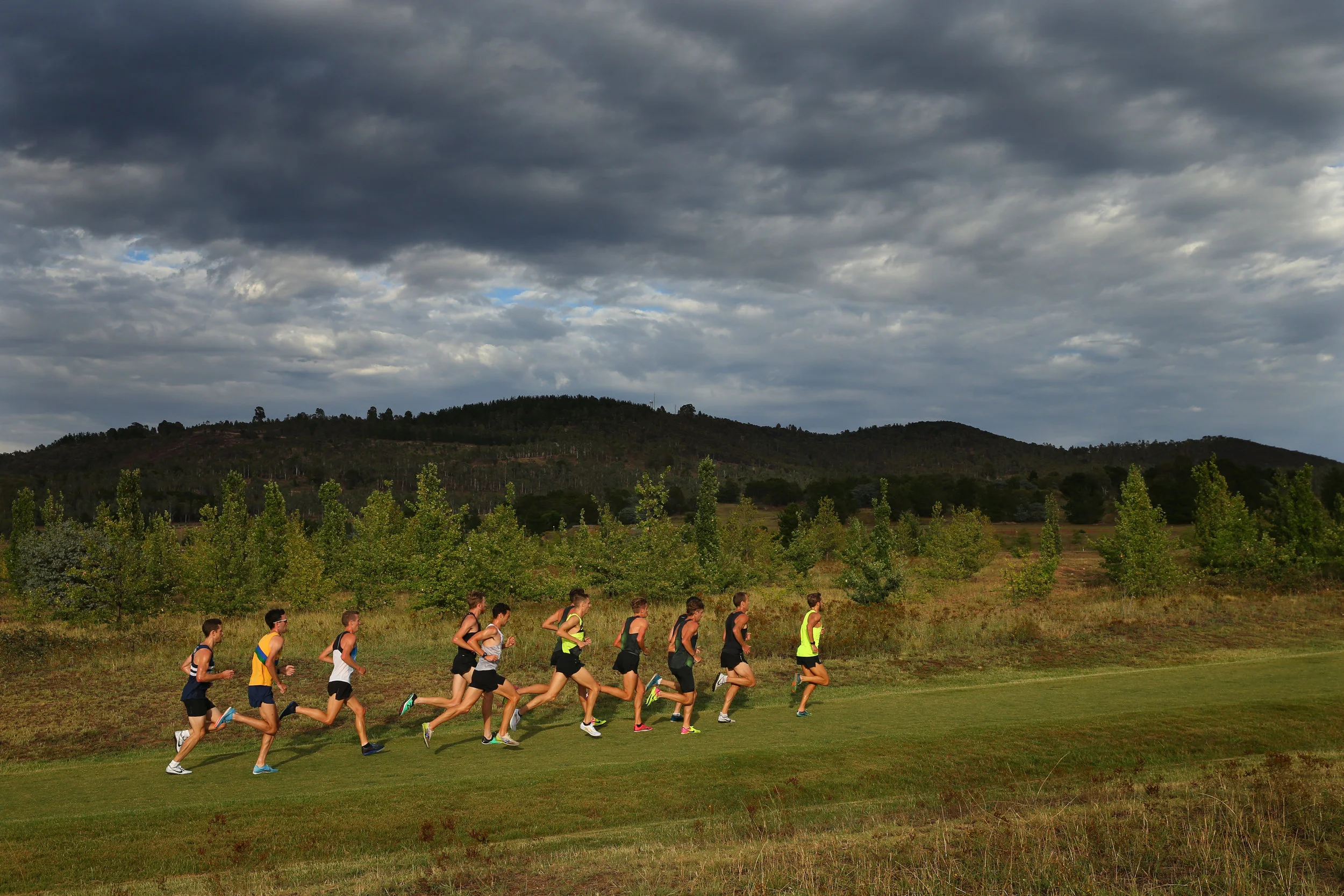  Athletes compete in the Mens Open 10km Run during the Australian World Cross Country Trials at Stromlo Forest Park on January 27, 2019 in Canberra, Australia. (Photo by Jason McCawley/Getty Images) 