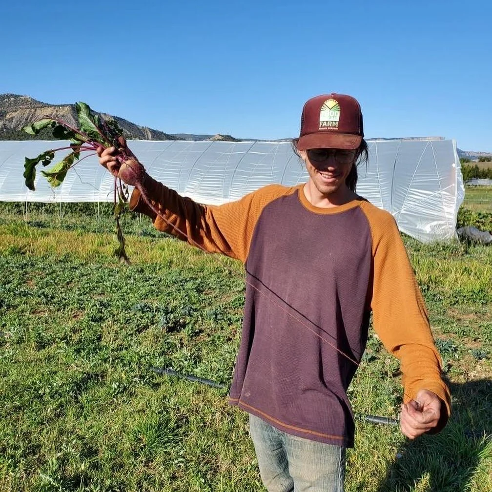 Sol Vista Farm: 2020 Loan Recipient Update