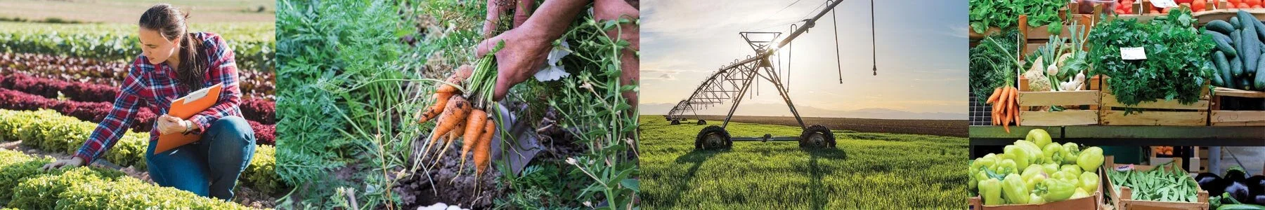 San Juan County, New Mexico - Update October 2020