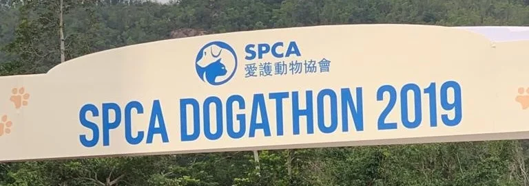 DOGATHON1.jpg