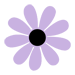 weedaisy.png