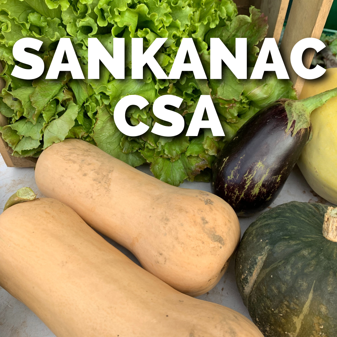 SANKANAC CSA