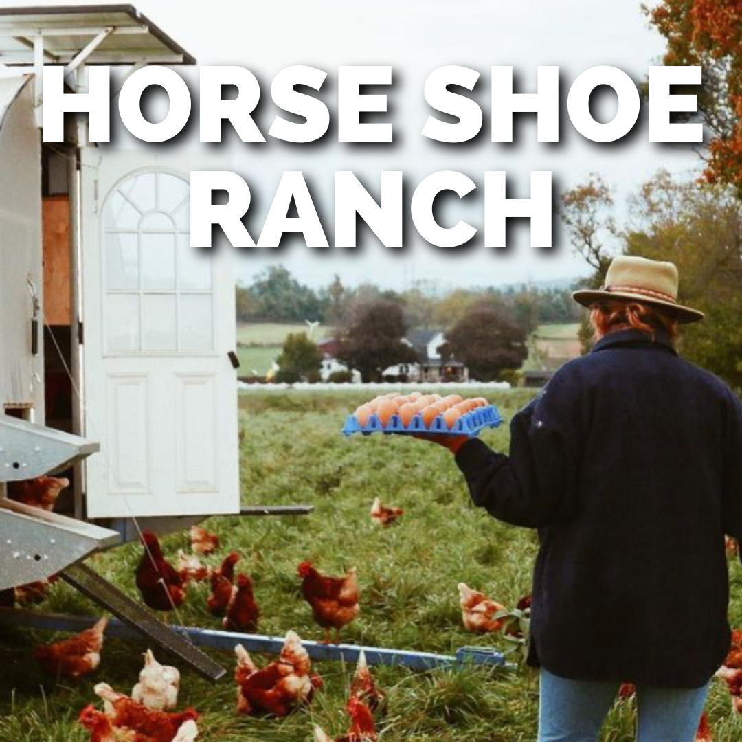 HORSE SHOE RANCH