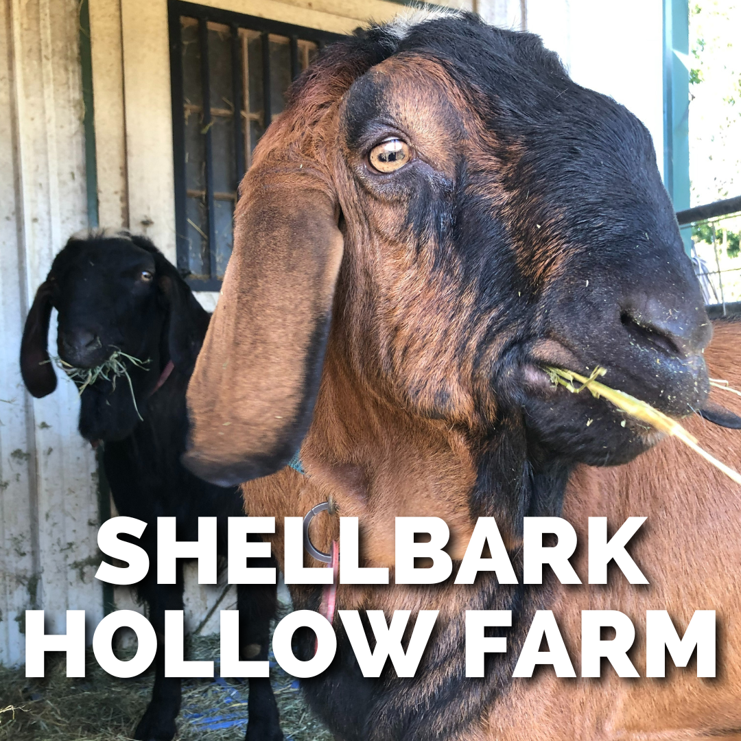 SHELLBARK HOLLOW FARM