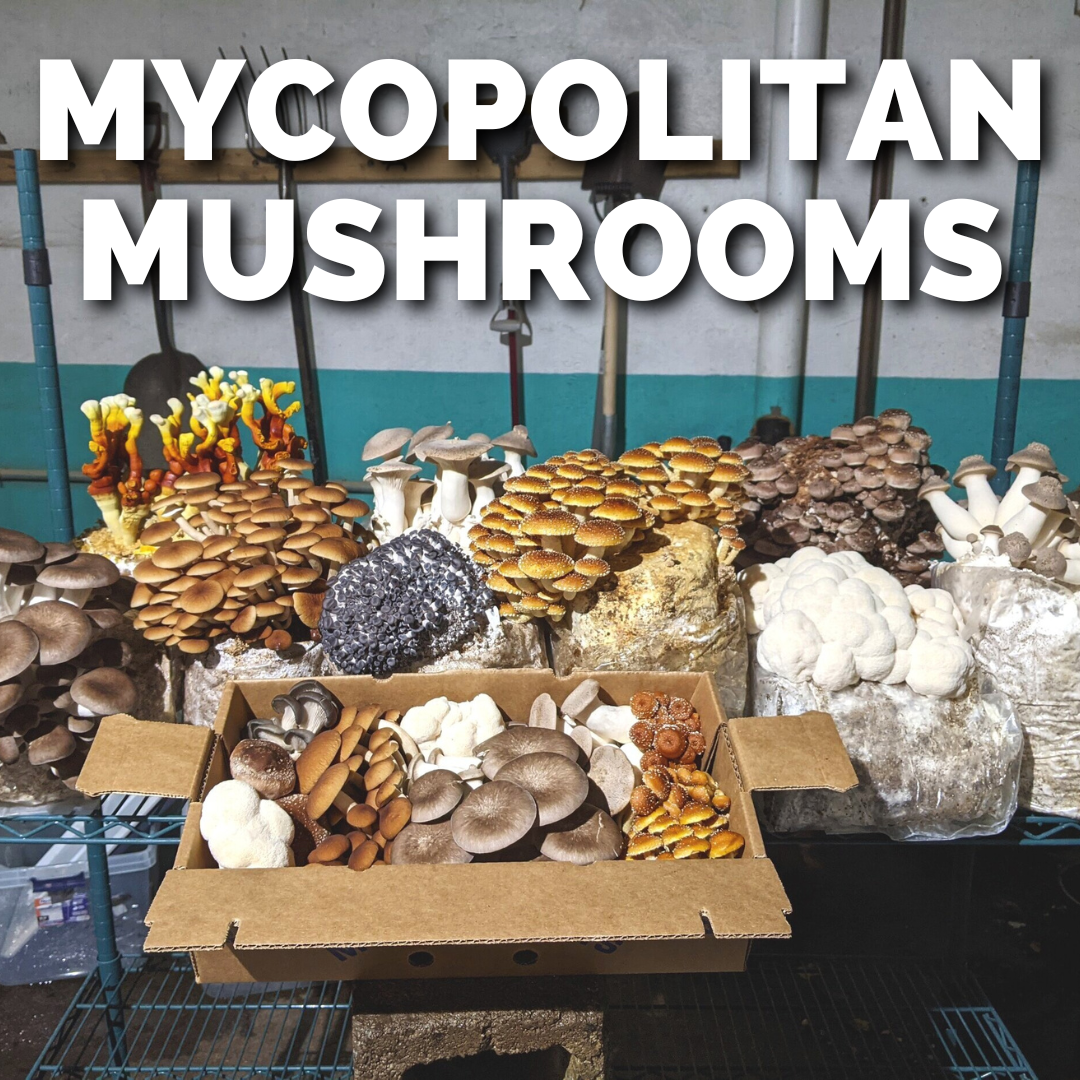 MYCOPOLITAN MUSHROOMS