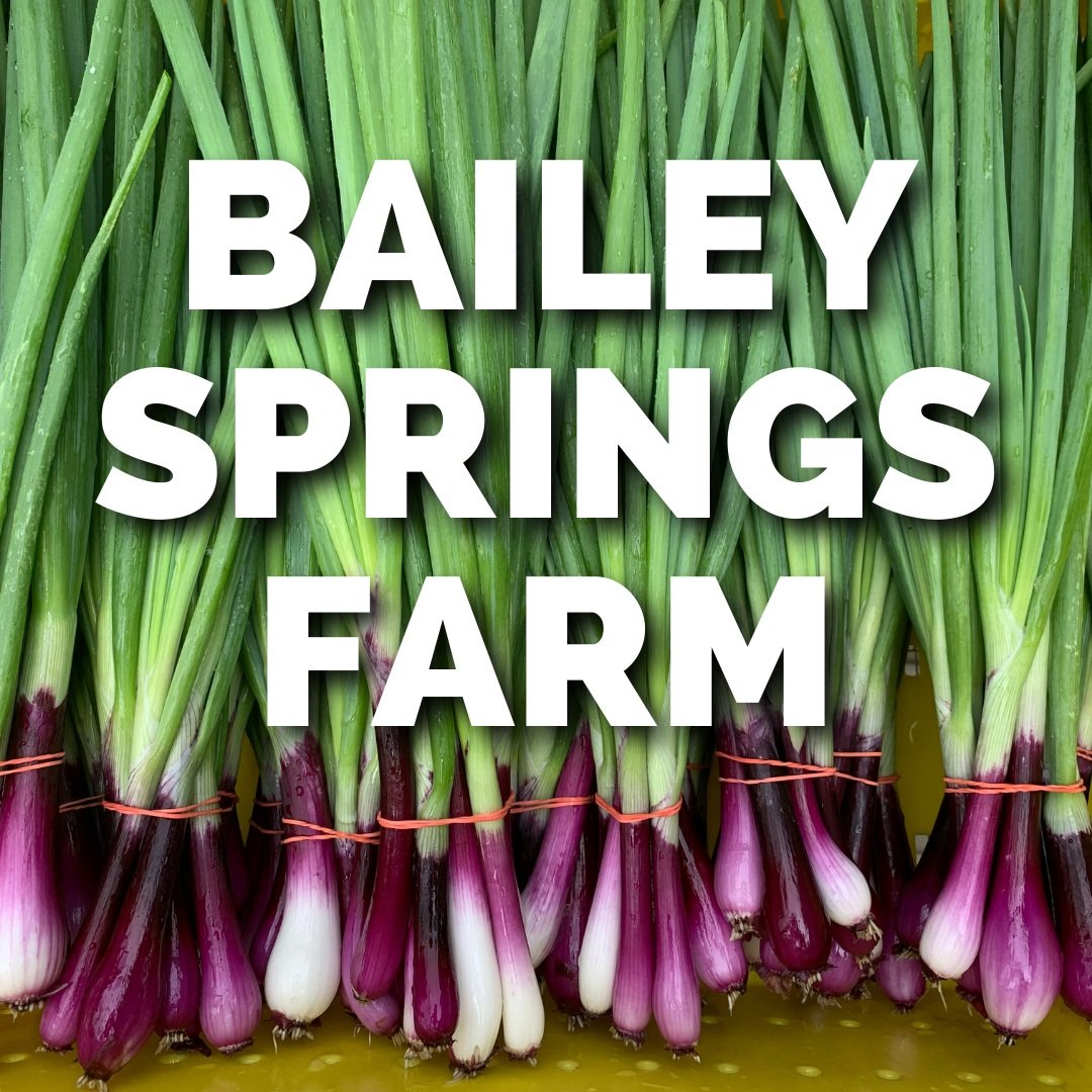 BAILEY SPRINGS FARM