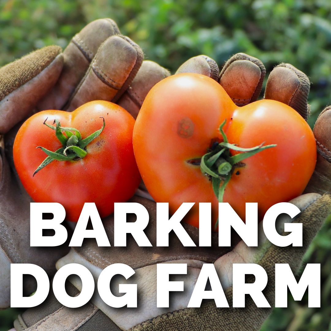 BARKING DOG FARM