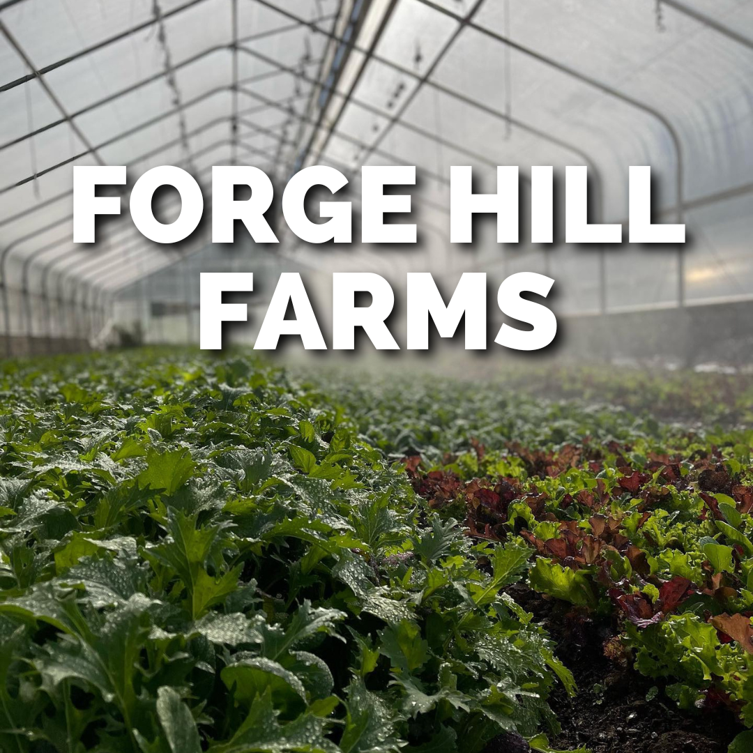 FORGE HILL FARMS