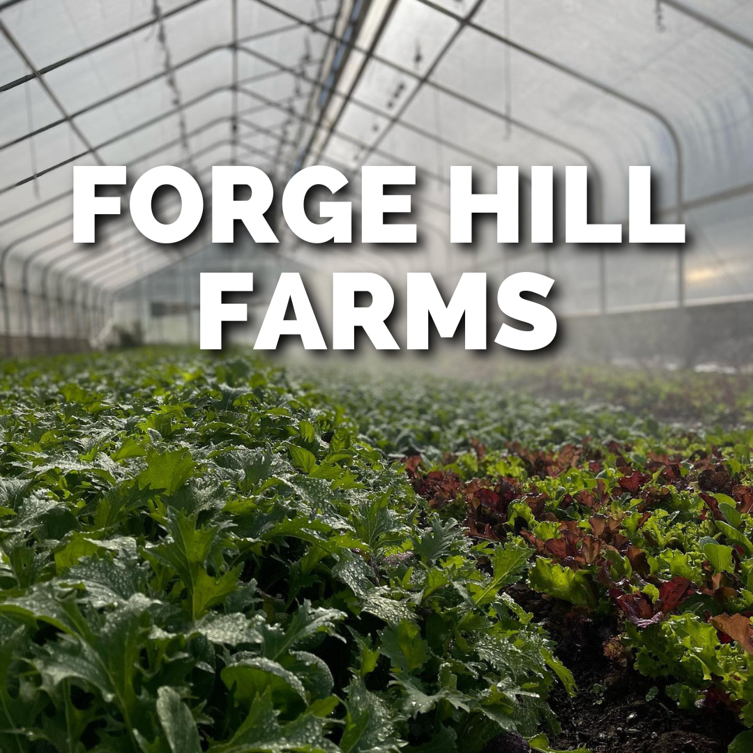 Forge Farm Binstead EPIC FARMERS MARKET 2023 — Good Food Fest
