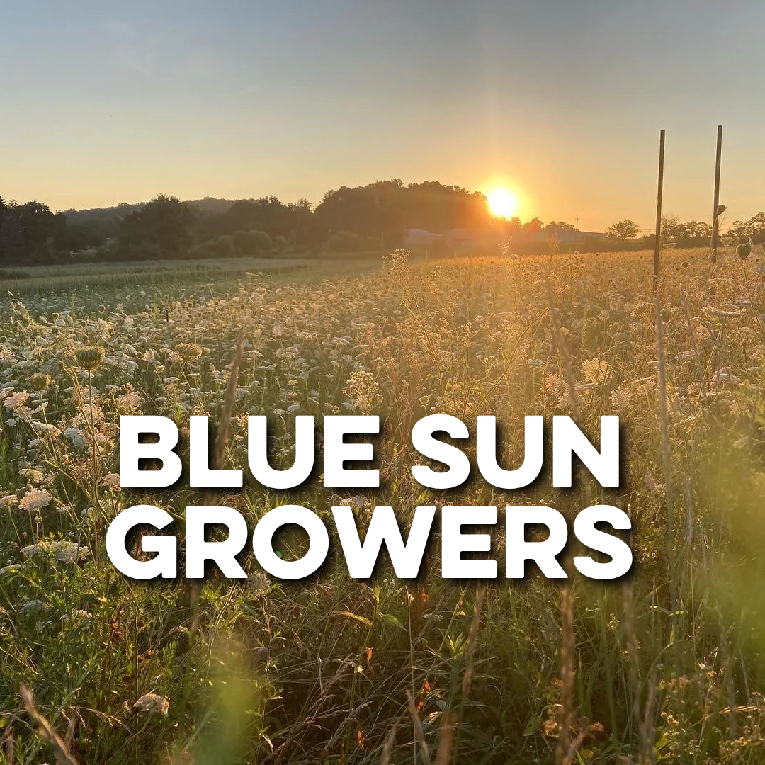 BLUE SUN GROWERS