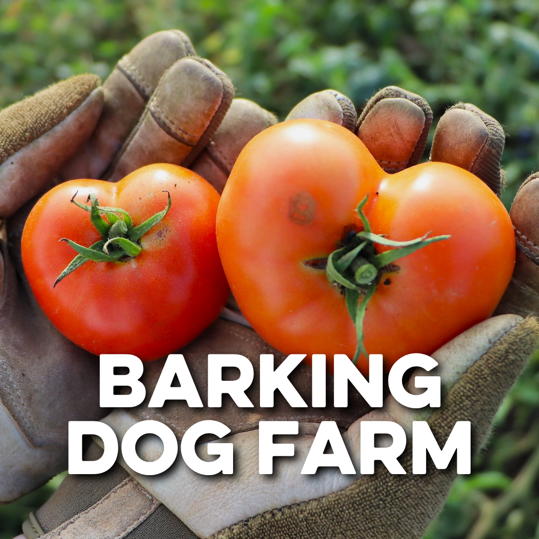 BARKING DOG FARM