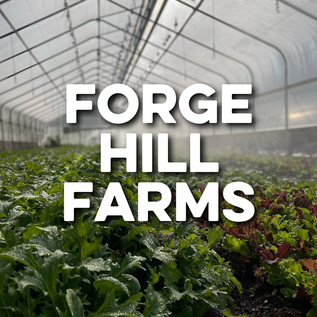 FORGE HILL FARM