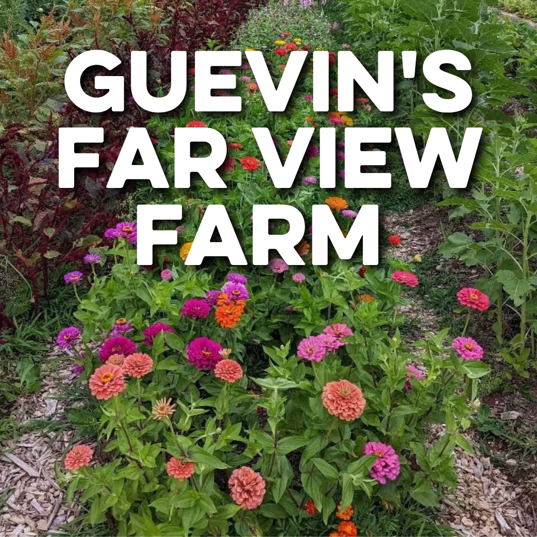 GUEVIN'S FAR VIEW FARM