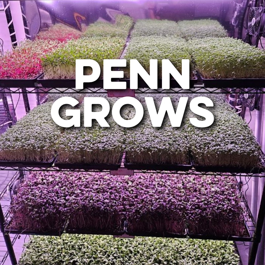 PENN GROWS / MICROGLAMS
