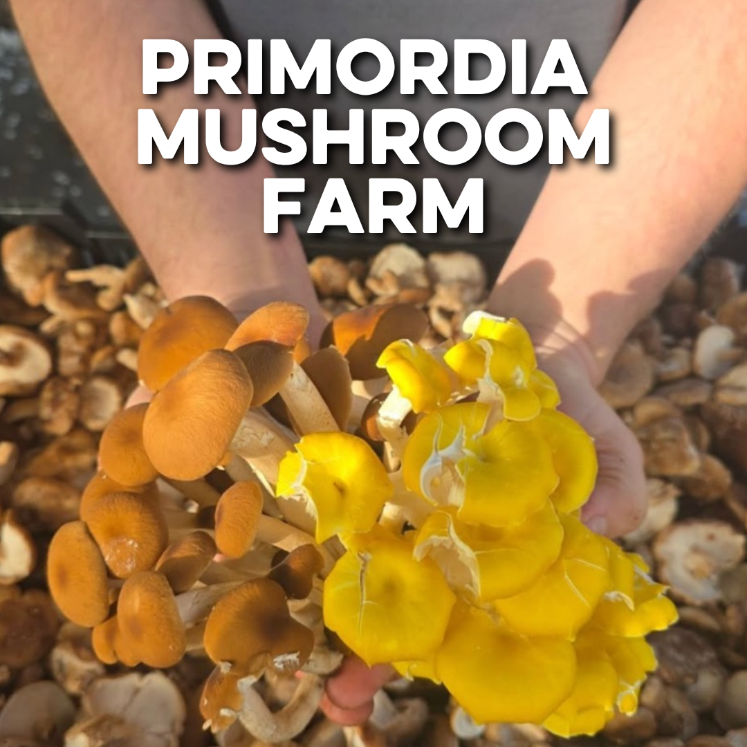 PRIMORDIA MUSHROOM FARM