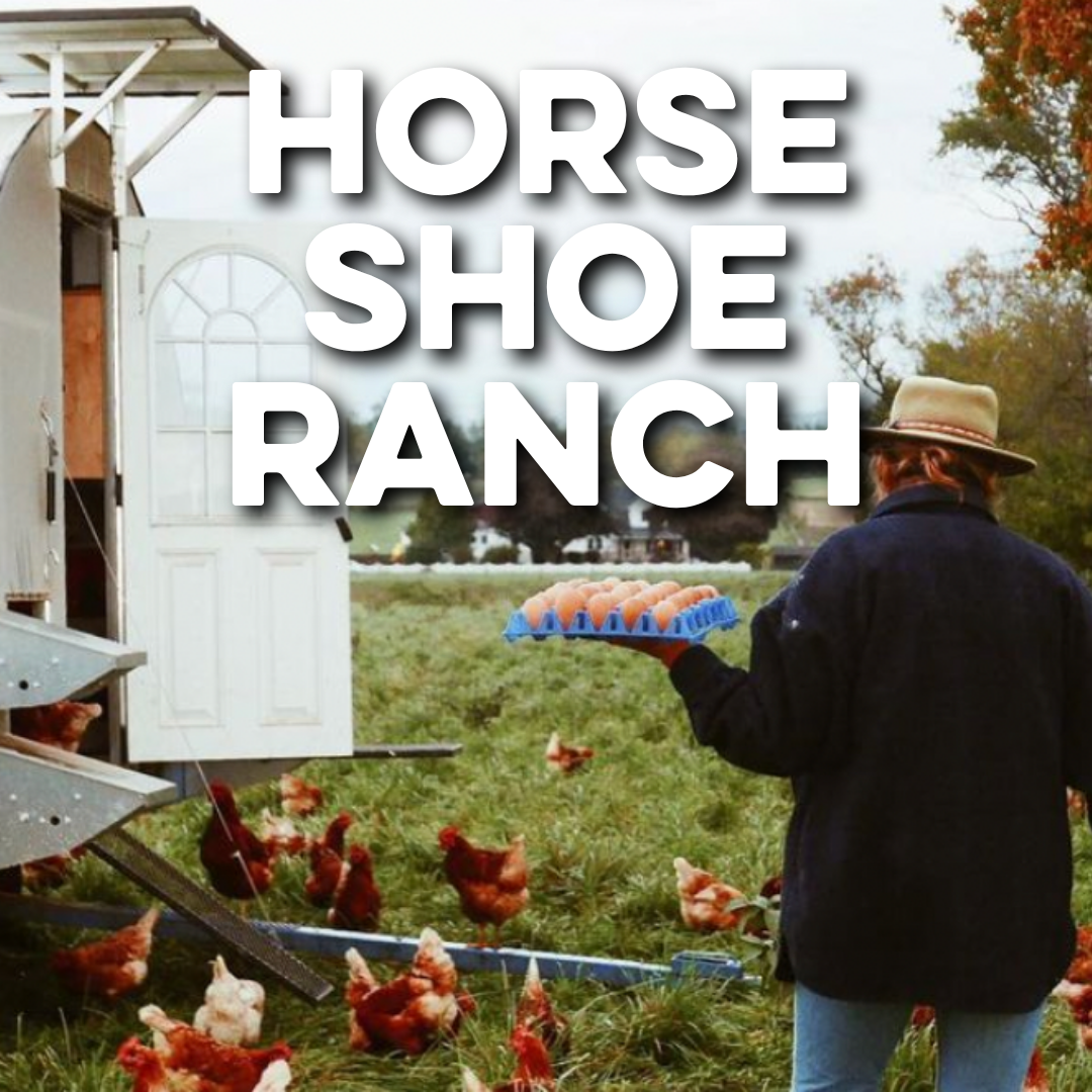 HORSE SHOE RANCH