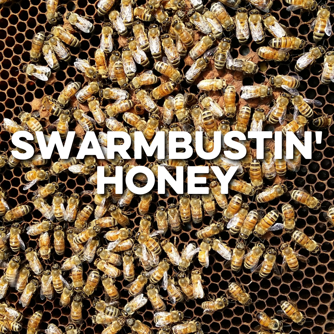 SWARMBUSTIN' HONEY