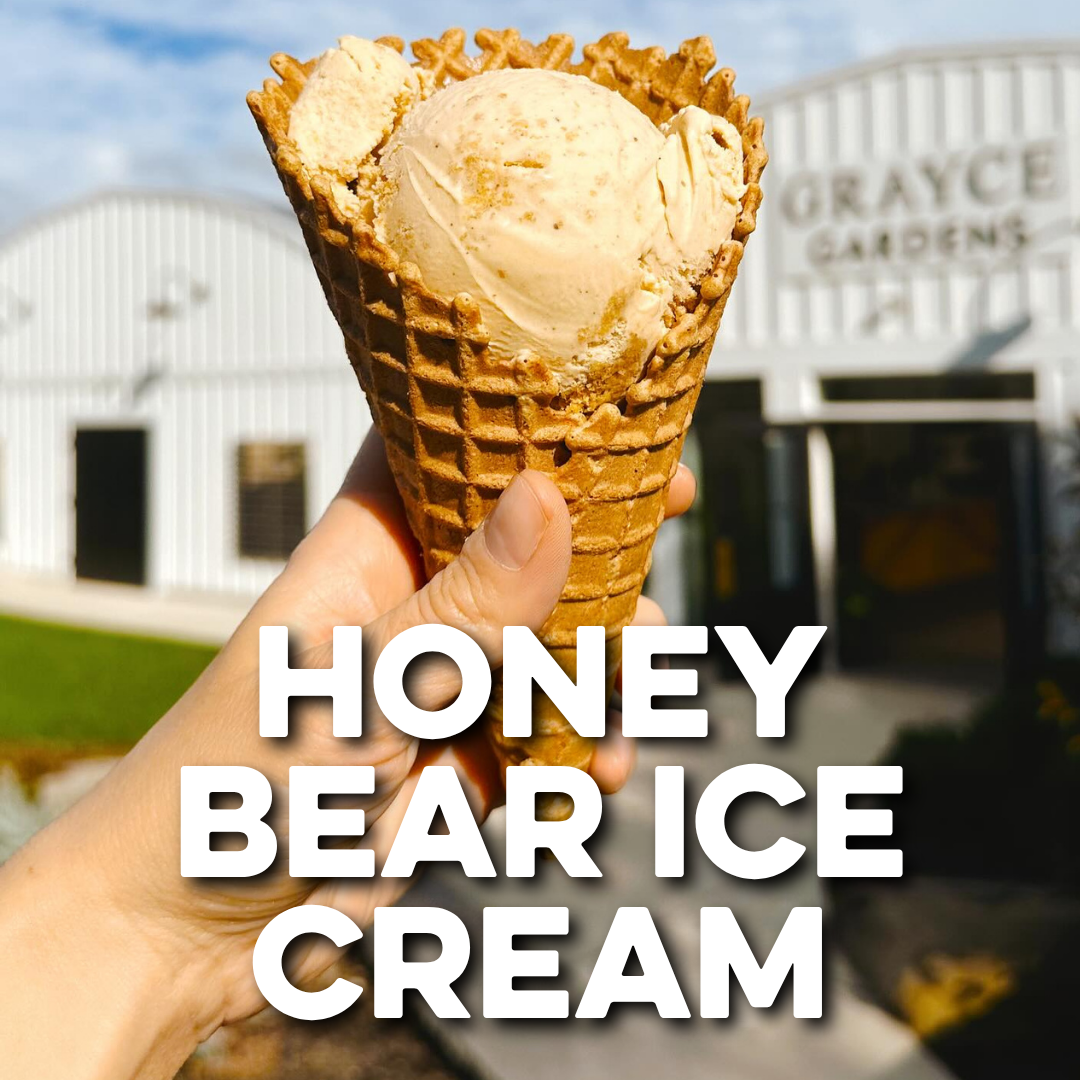 HONEY BEAR ICE CREAM