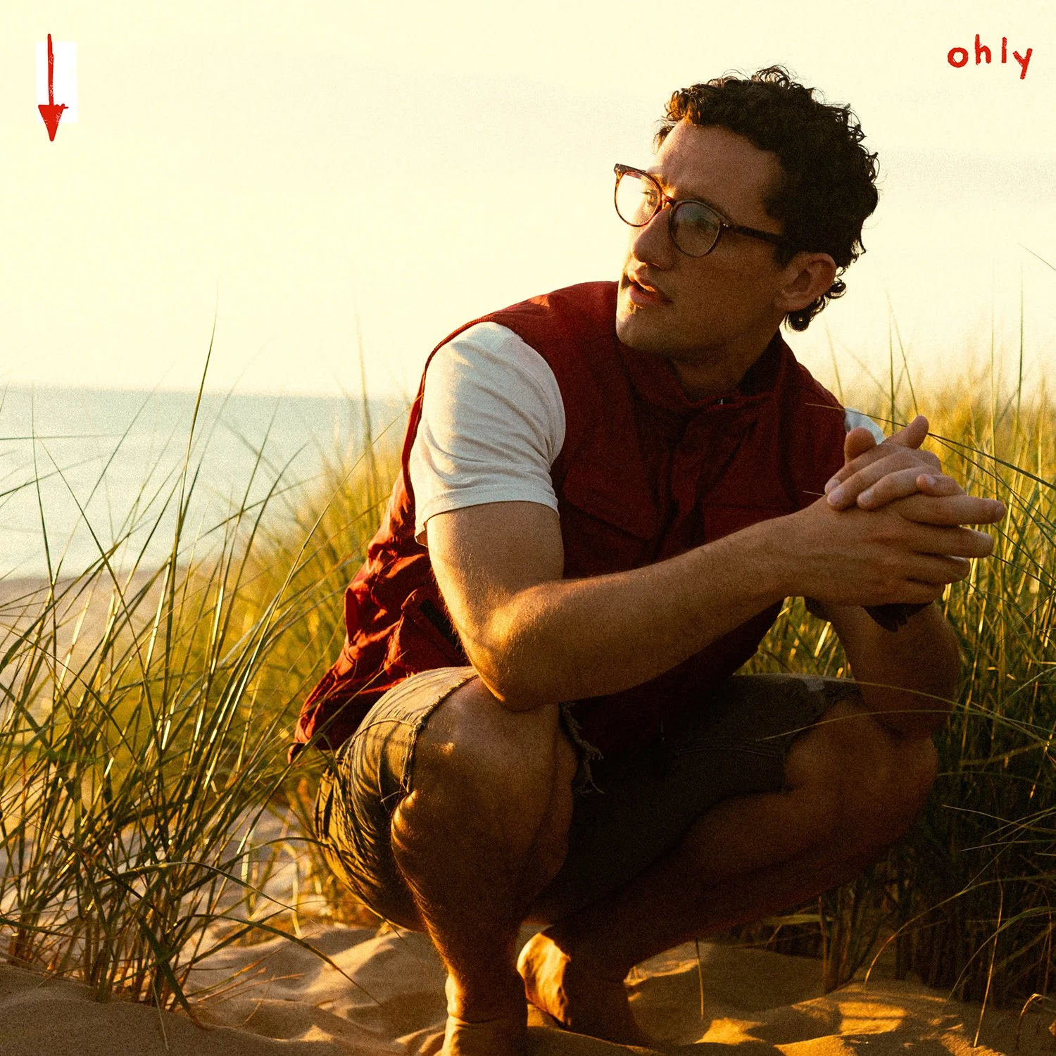 Ohly Cover-website.jpg