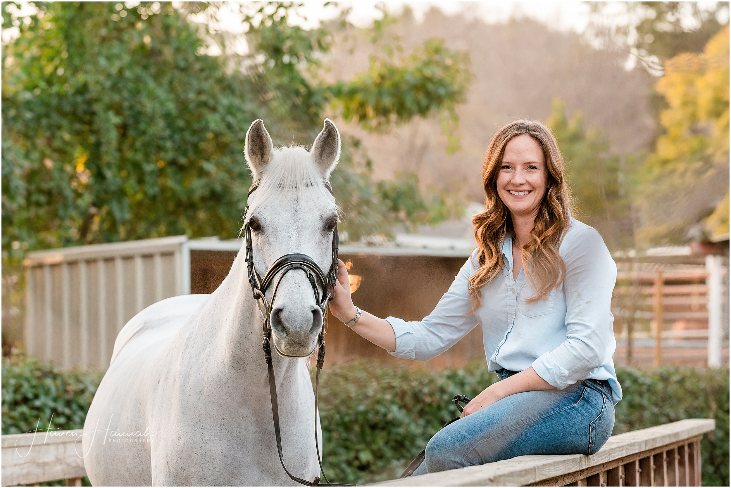 equine-photography