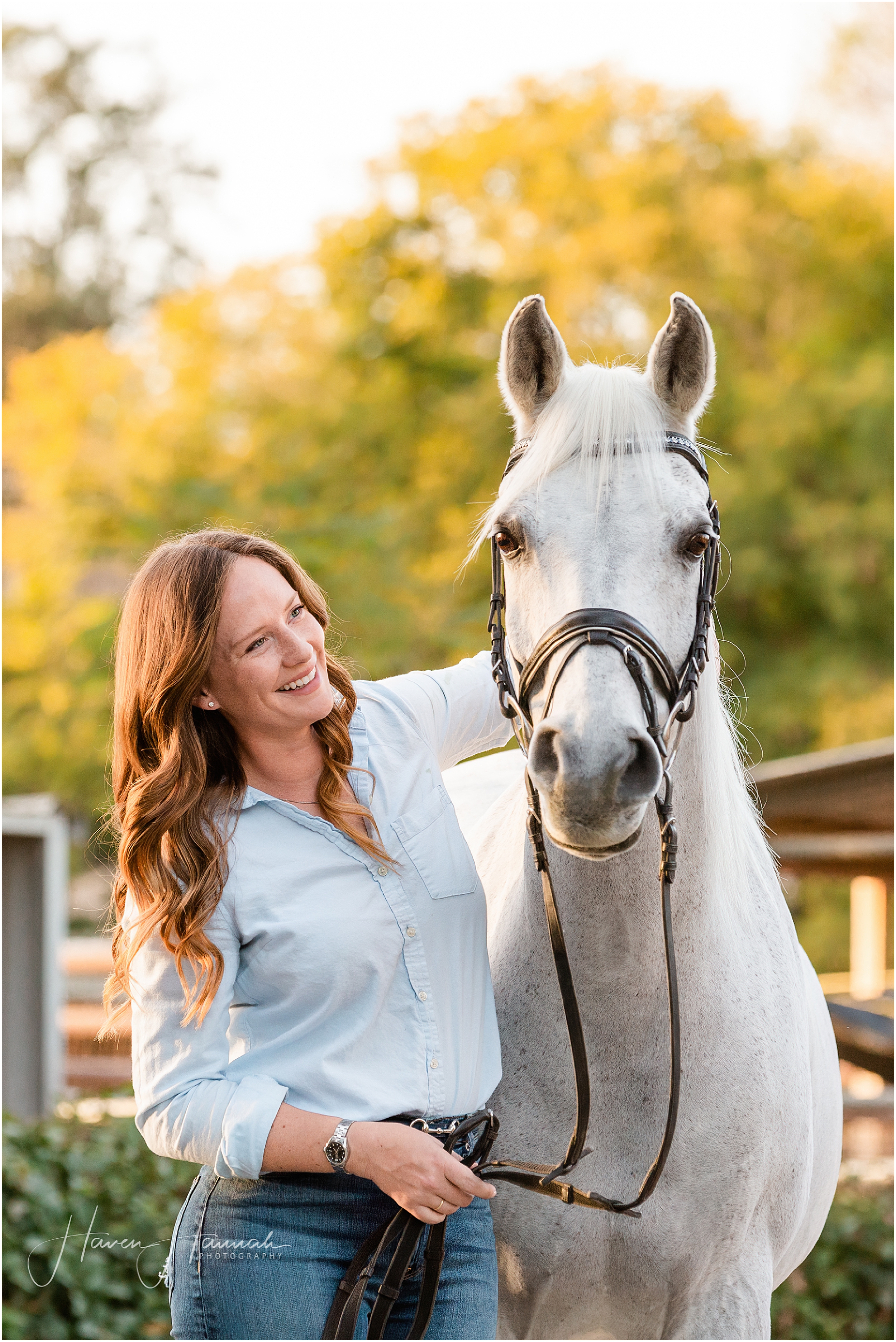 los-angeles-horse-and-rider-session