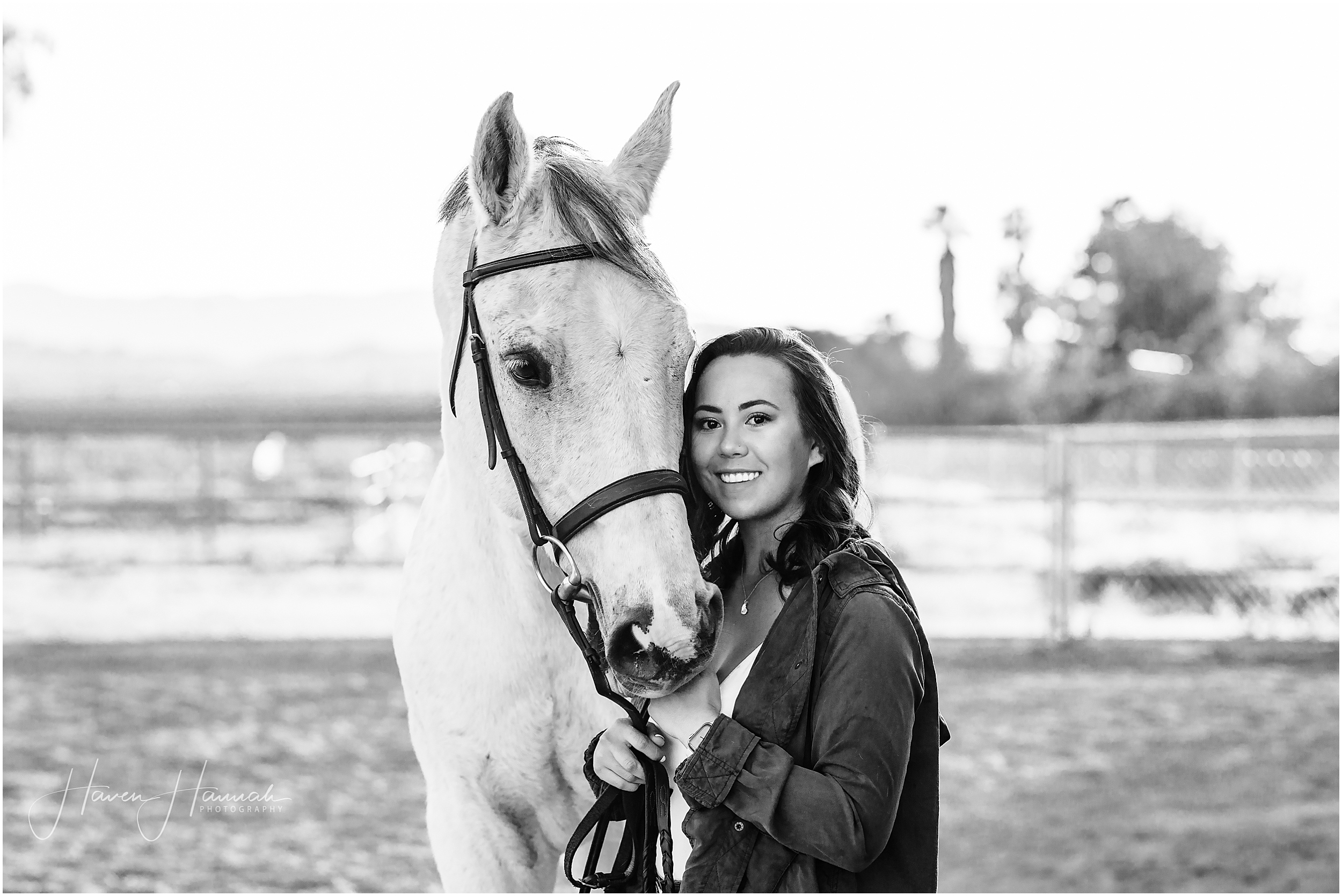 horse-and-rider-photographer