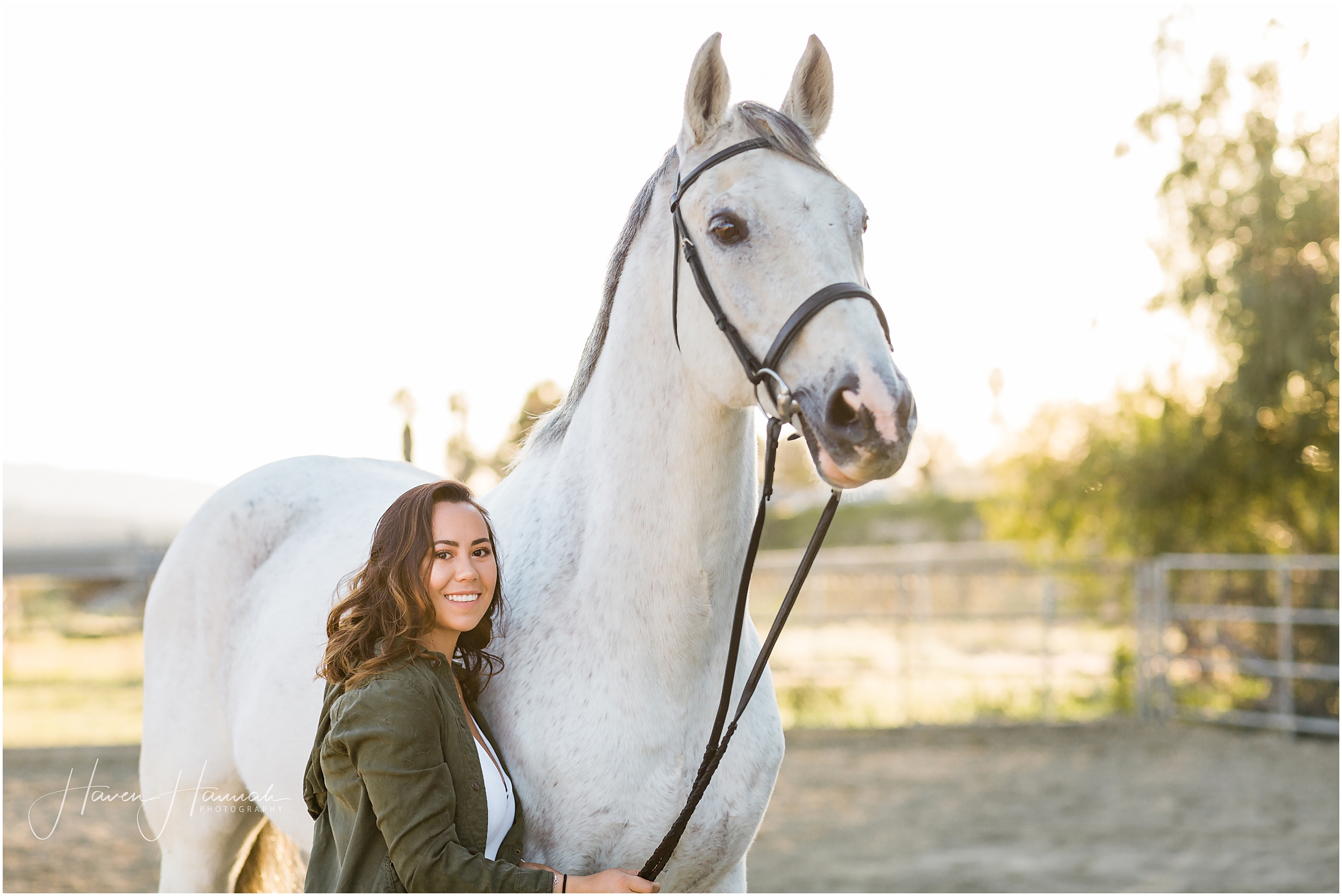 los-angeles-equine-photographer