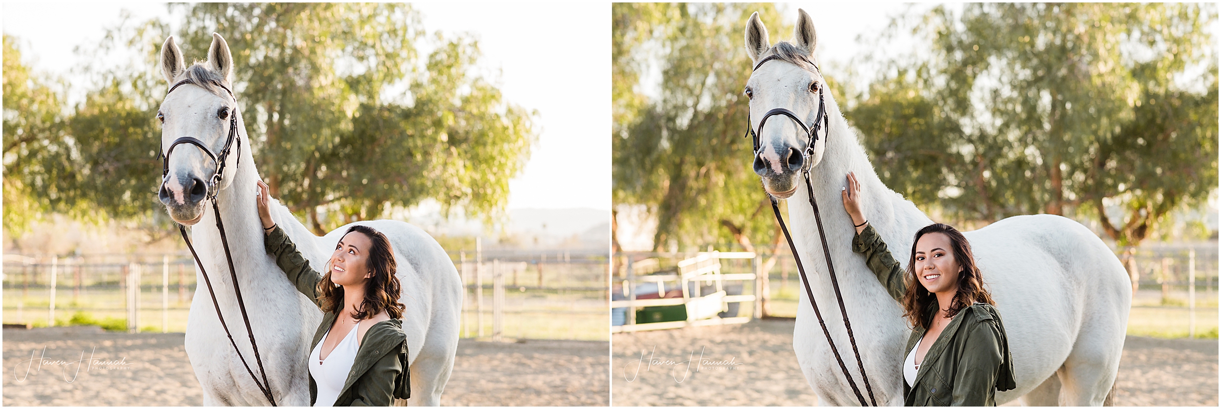 los-angeles-equestrian-photography
