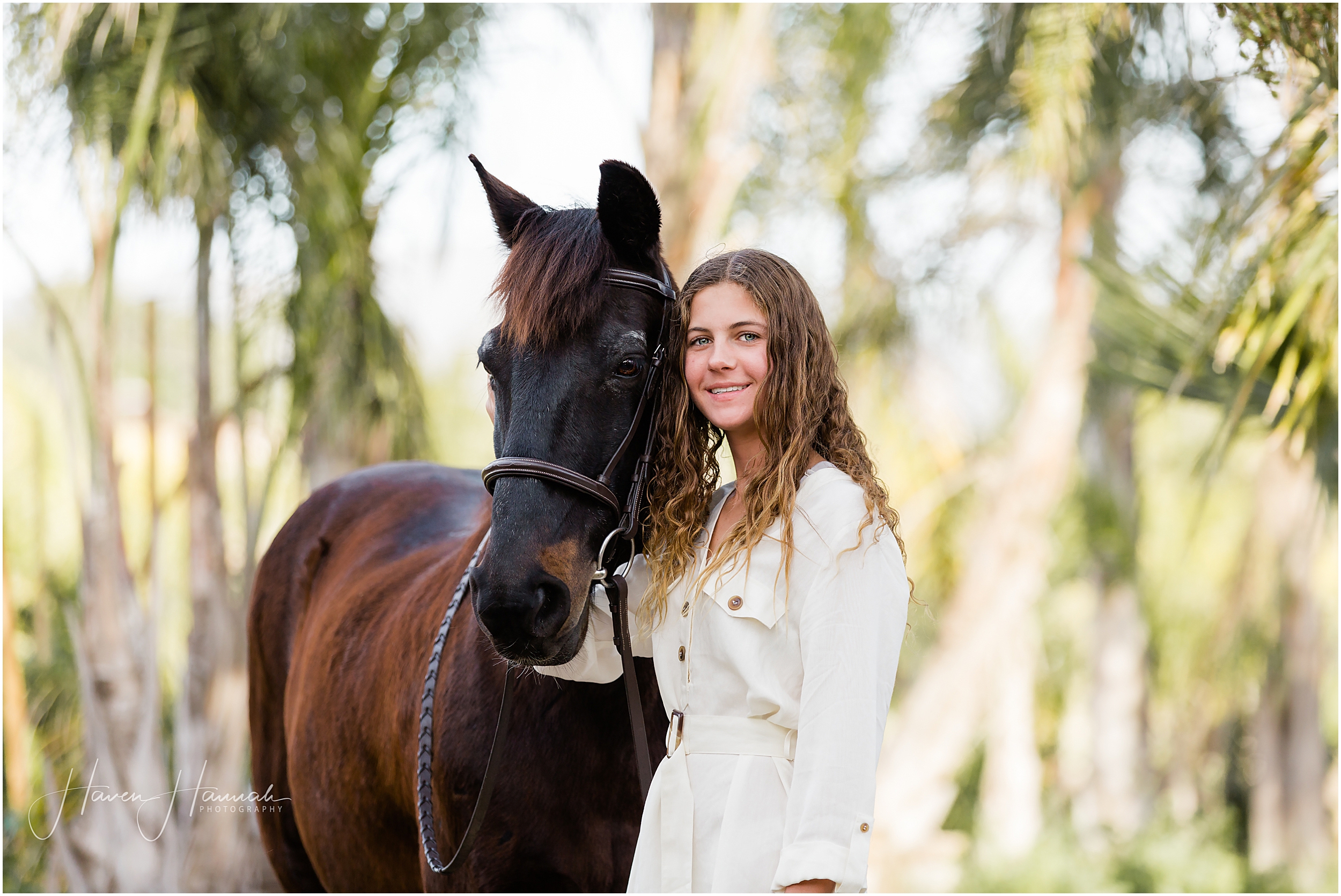 equine-portrait