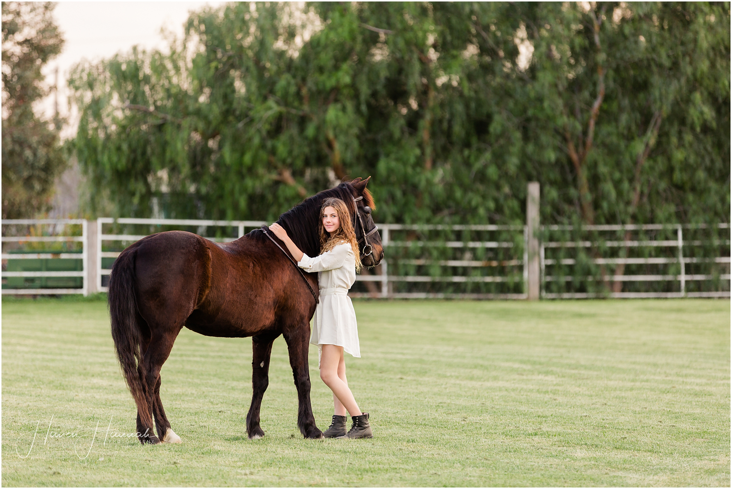 los-angeles-horse-photographer