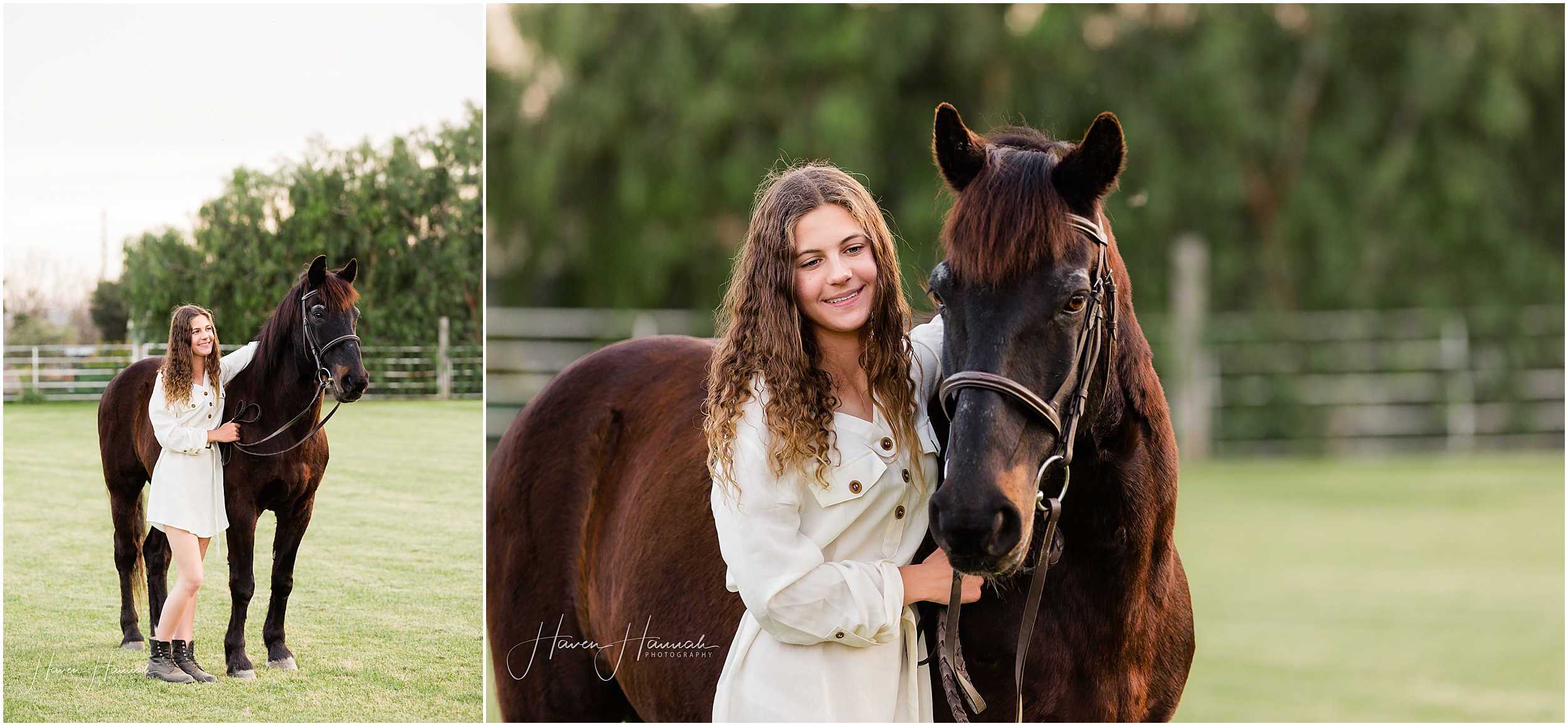 equestrian-photographer