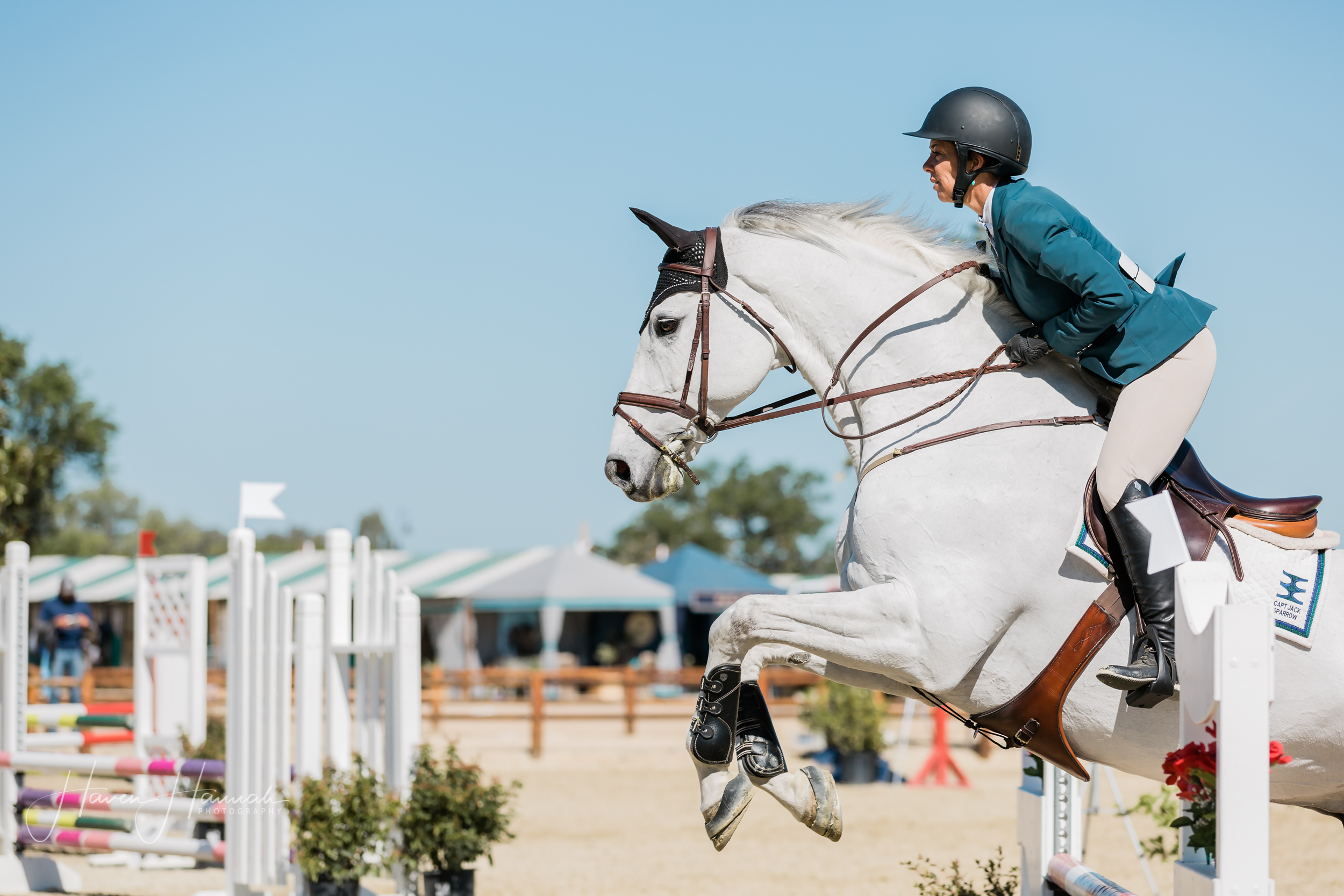 los-angeles-equine-photographer