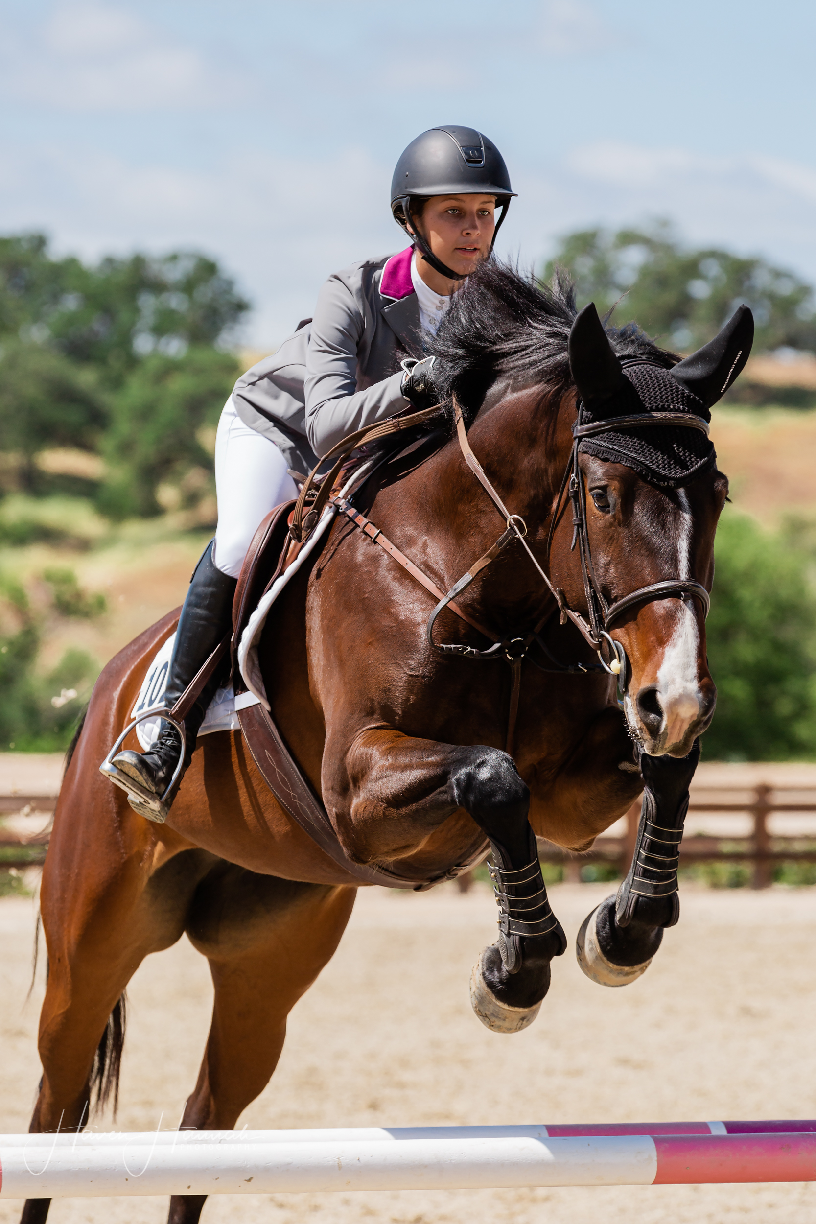 horse-show-photographer