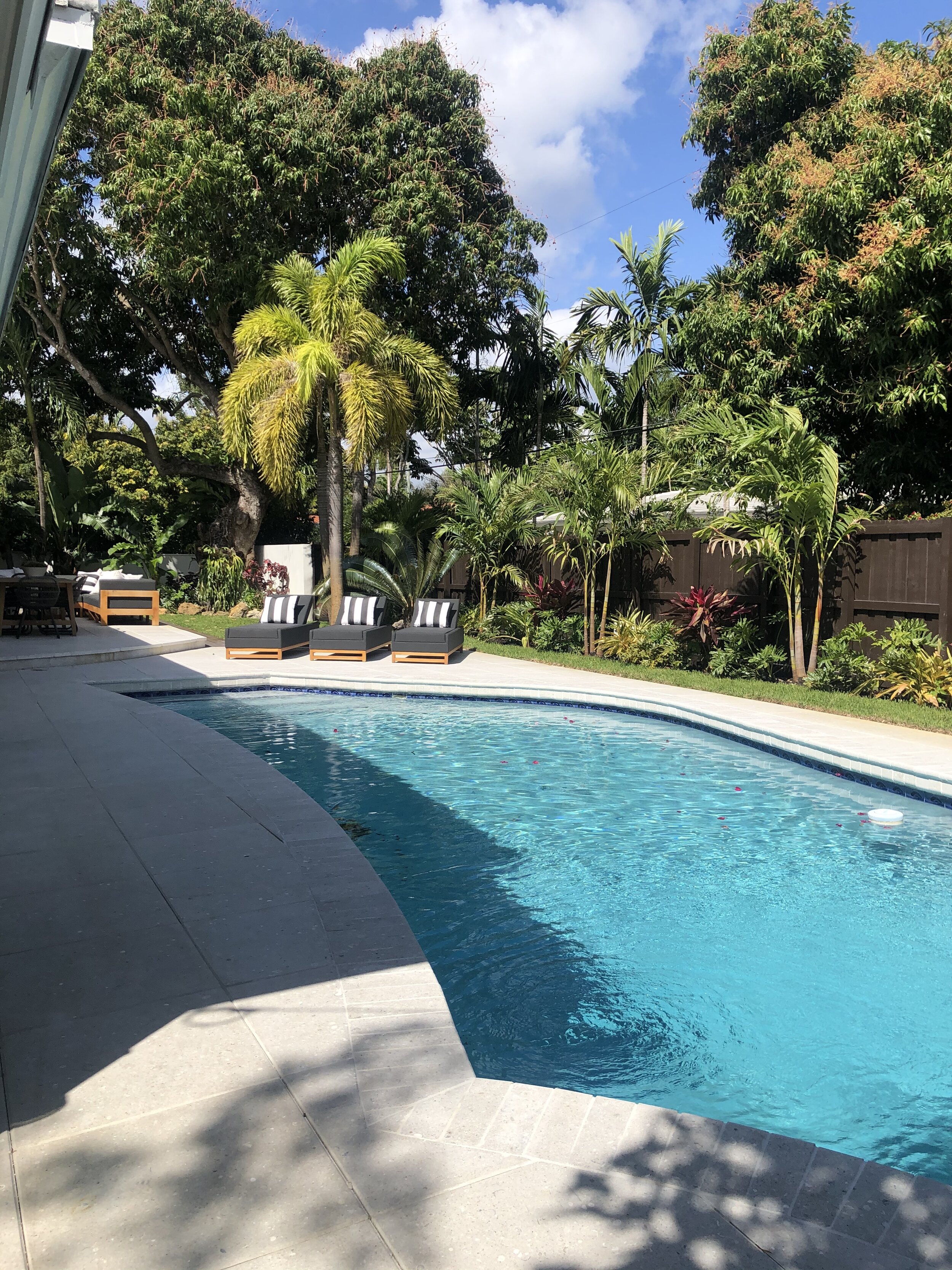 Backyard of a renovated pool home in Miami Shores, FL