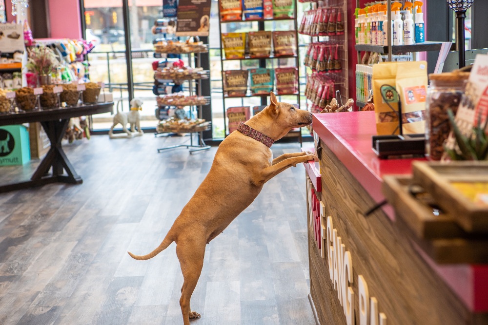 woof bakery and grooming