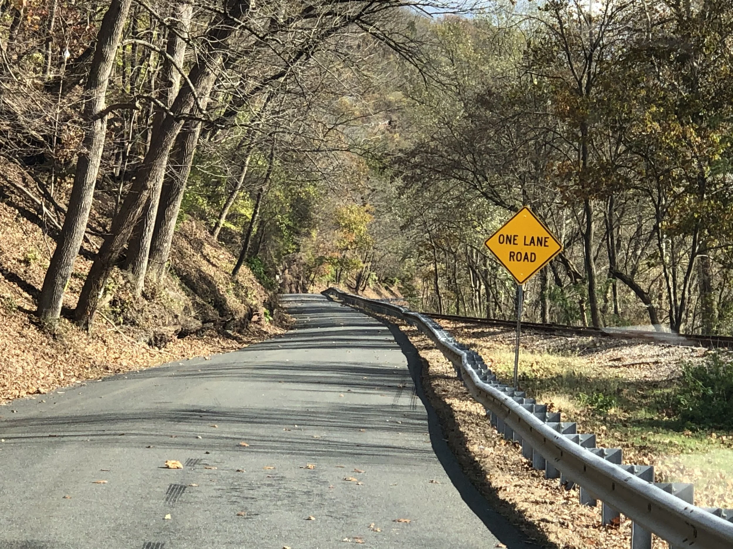 Day 8: Rejection and low bridges