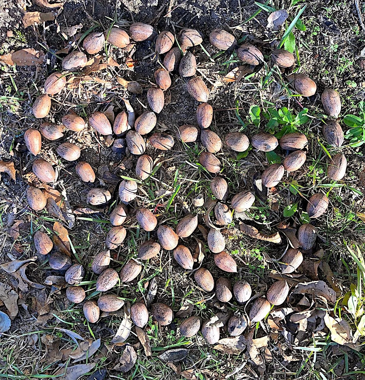 Day 21: Sunny &amp; Warm